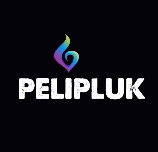 ✔️PELIPLUK✔️